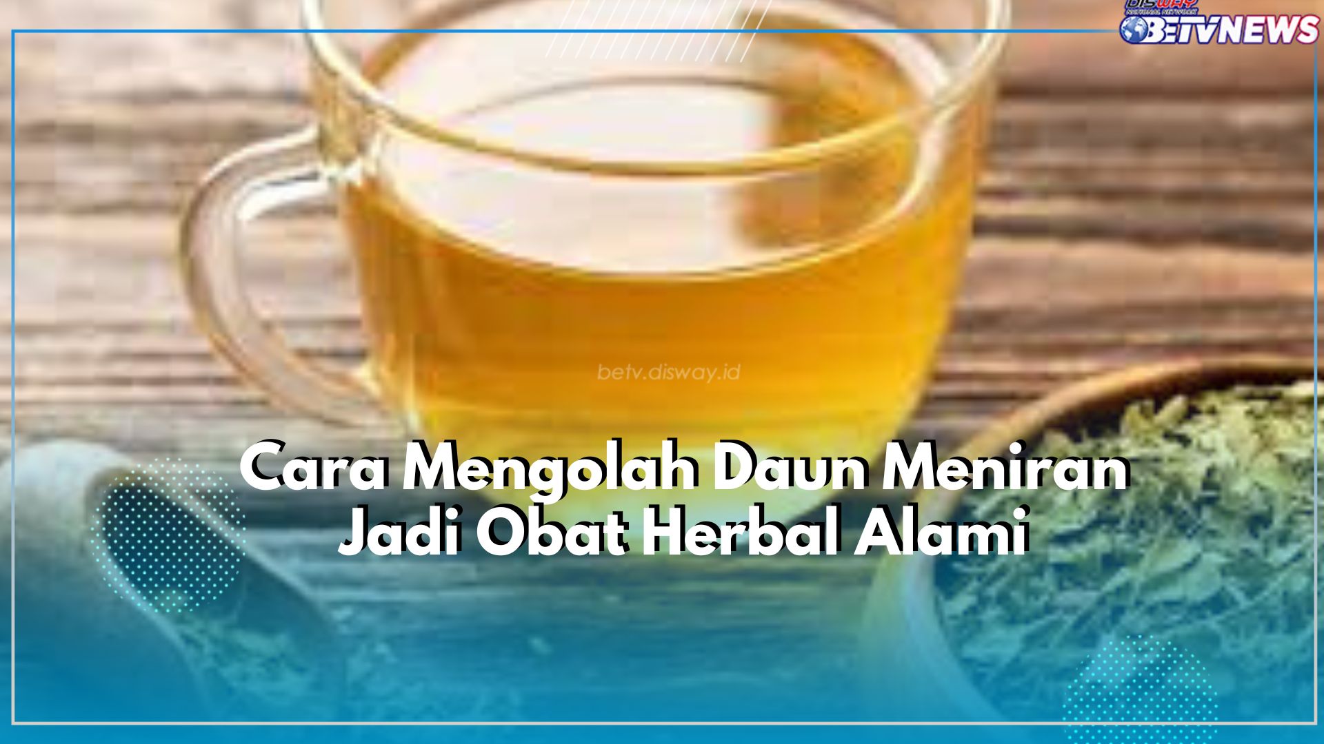 Cukup Diolah Jadi Minuman Herbal, Daun Meniran Tawarkan Khasiat untuk Kesehatan, Cek Cara Mengolahnya Disini!