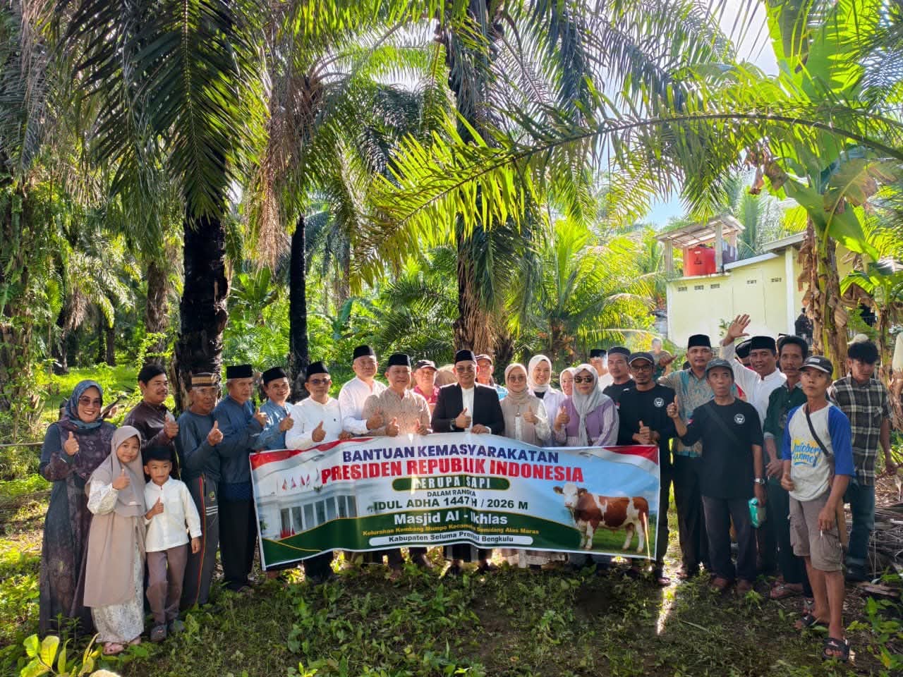 Iduladha 1447 H, Bupati Teddy Rahman Serahkan Sapi Kurban Bantuan Presiden untuk Warga Seluma