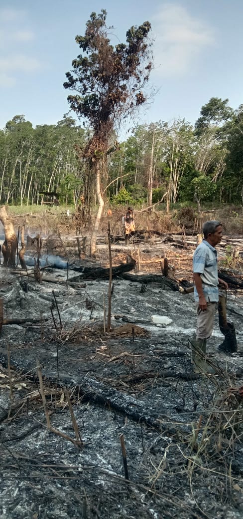 3 Hektar Lahan Sawit dan Karet Warga Seluma Terbakar