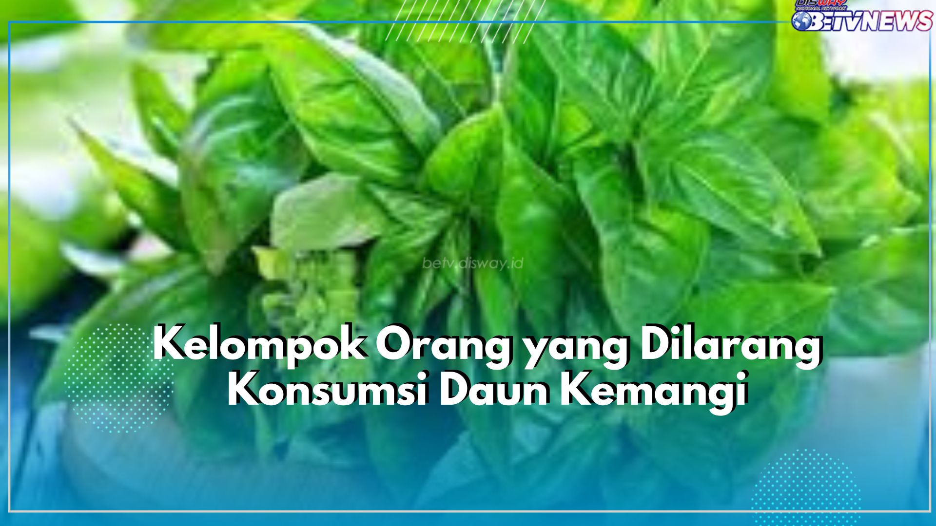 Ibu Hamil Dilarang Konsumsi Daun Kemangi, Cek 4 Kelompok Orang Lainnya Disini!