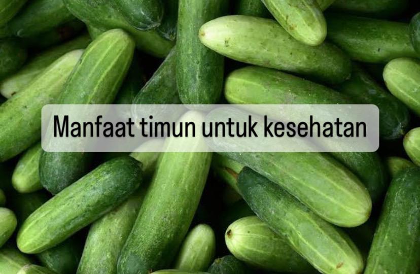 Efektif Mencegah Penyakit Kronis, Ini 10 Manfaat Timun untuk Kesehatan, Yuk Intip