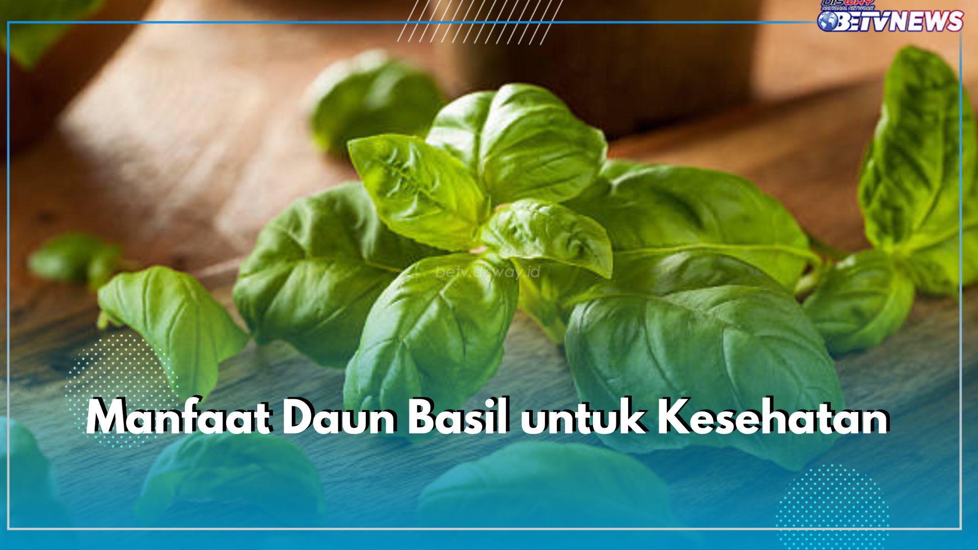 Daun Basil Ampuh Mengatasi Ragam Penyakit, Cek di Sini Kandungan dan Ragam Manfaatnya Bagi Kesehatan