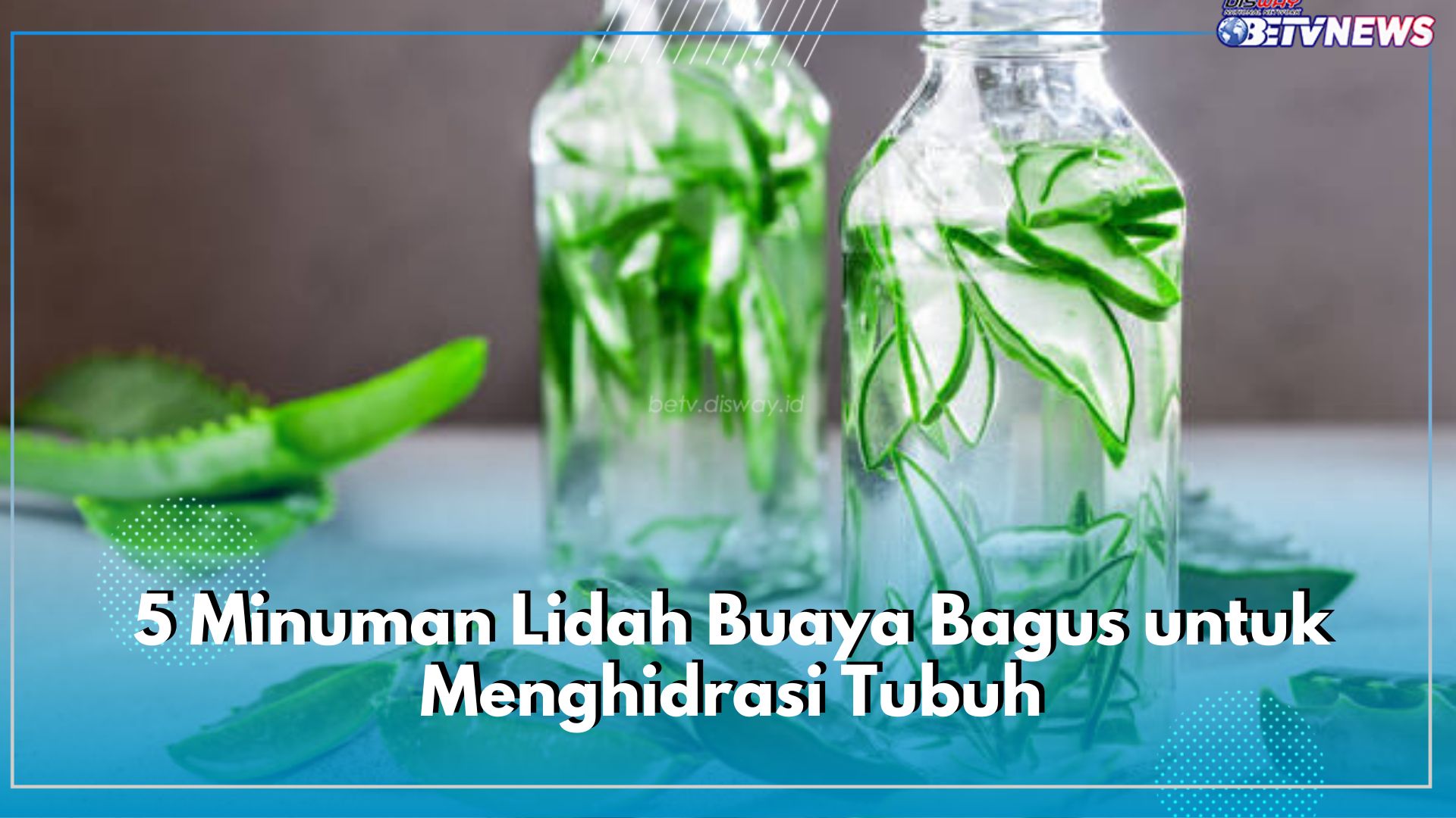 Dijamin Segar dan Juga Sehat, Ini 5 Minuman Lidah Buaya Bagus untuk Menghidrasi Tubuh