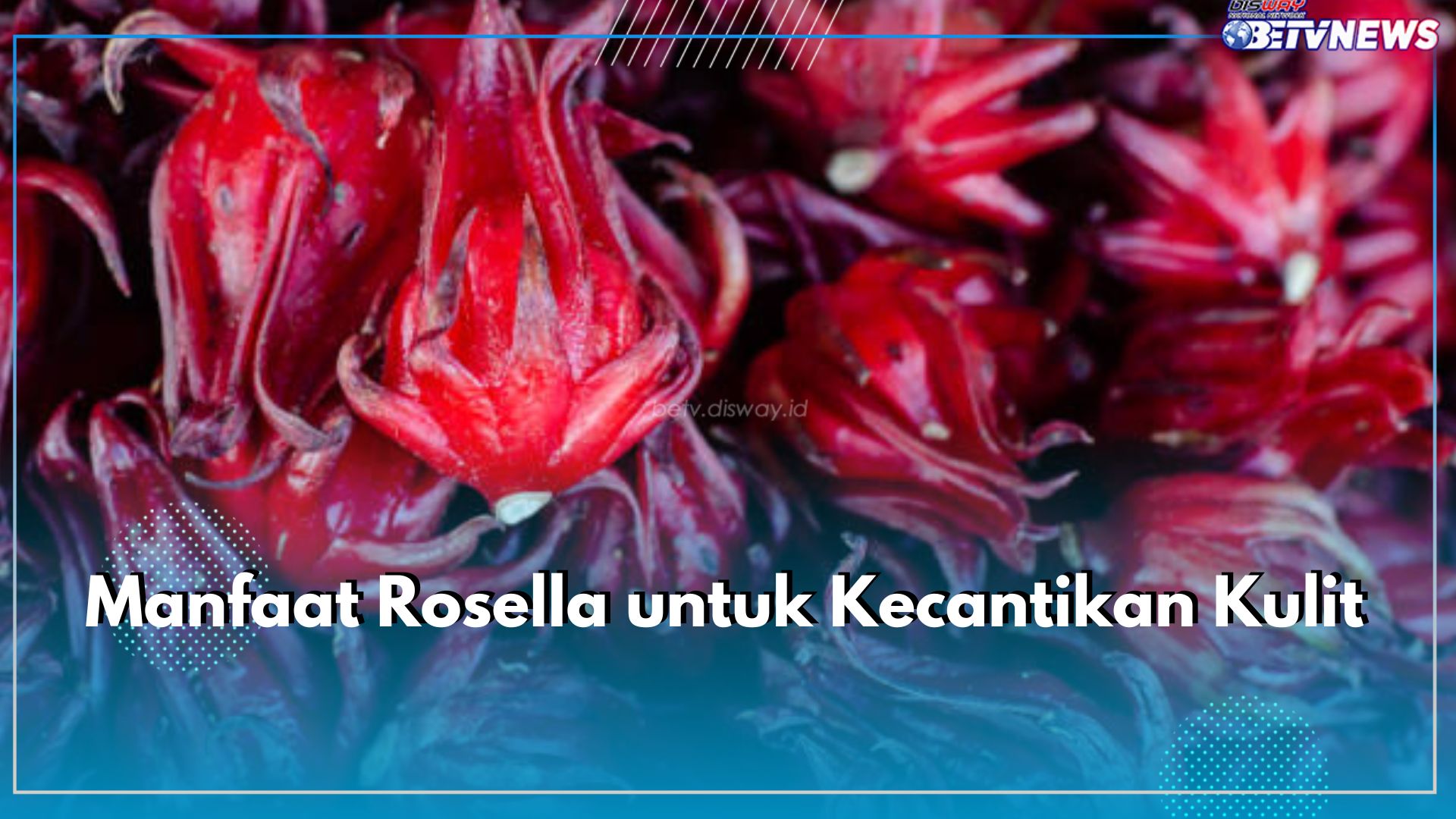 Bunga Rosella Mengandung Niacin, Nikmati  6 Manfaatnya untuk Kecantikan Kulit