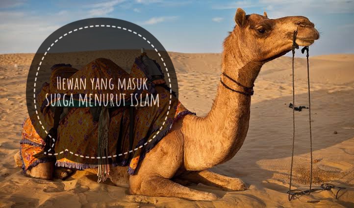 7 Hewan yang Dijamin Mendapatkan Kenikmatan Surga, Dalam Ajaran Islam