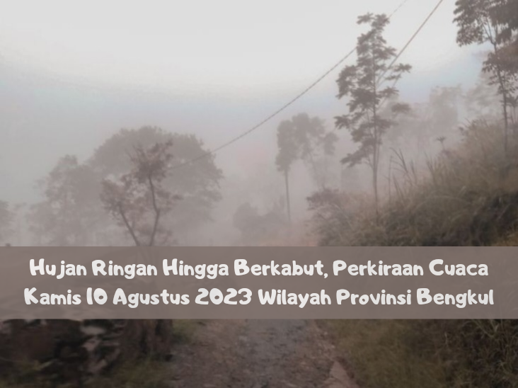 Hujan Ringan Hingga Berkabut, Perkiraan Cuaca Kamis 10 Agustus 2023 Wilayah Provinsi Bengkulu
