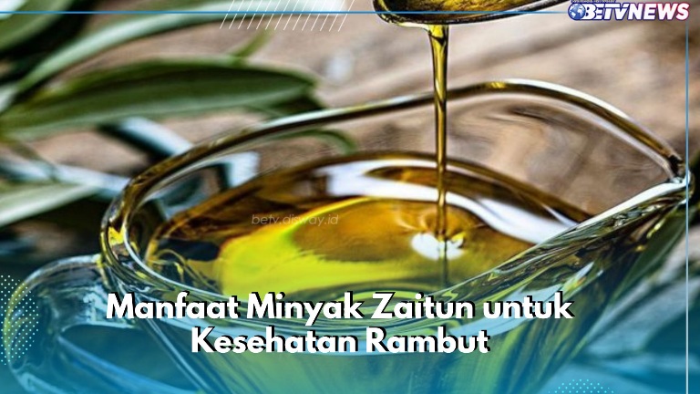 Klaim Manfaat Minyak Zaitun di Sini! Ampuh Mengurangi Kutu Rambut, Cek Sekarang