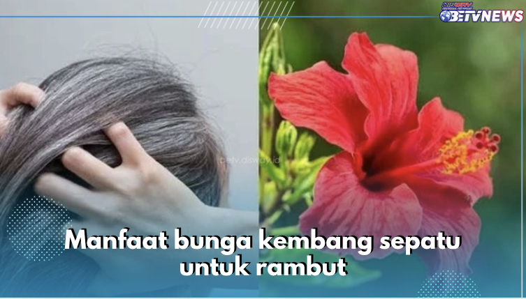 6 Manfaat Bunga Kembang Sepatu untuk Rambut, Salah Satunya Cegah Ketombe, Cek yang Lain di Sini