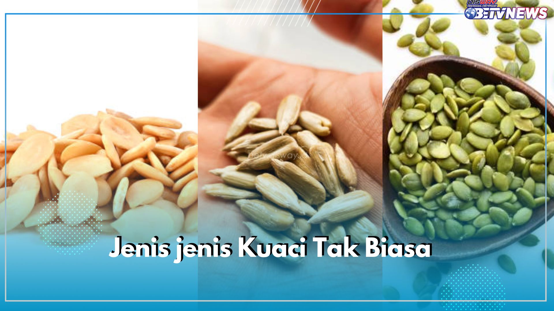 Selain Biji Bunga Matahari, Ada 5 Jenis Kuaci Tak Biasa yang Harus Kamu ketahui, Cek di Sini!