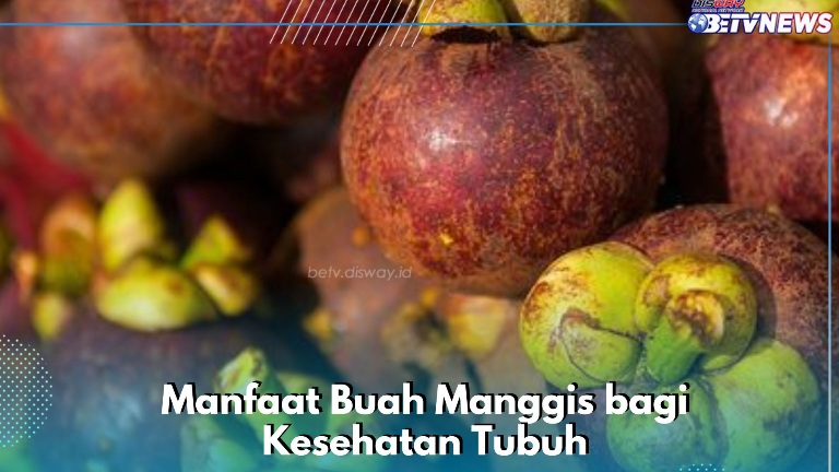 Ampuh Menurunkan Berat Badan, Cek Manfaat Lain Buah Manggis bagi Kesehatan Tubuh di Sini