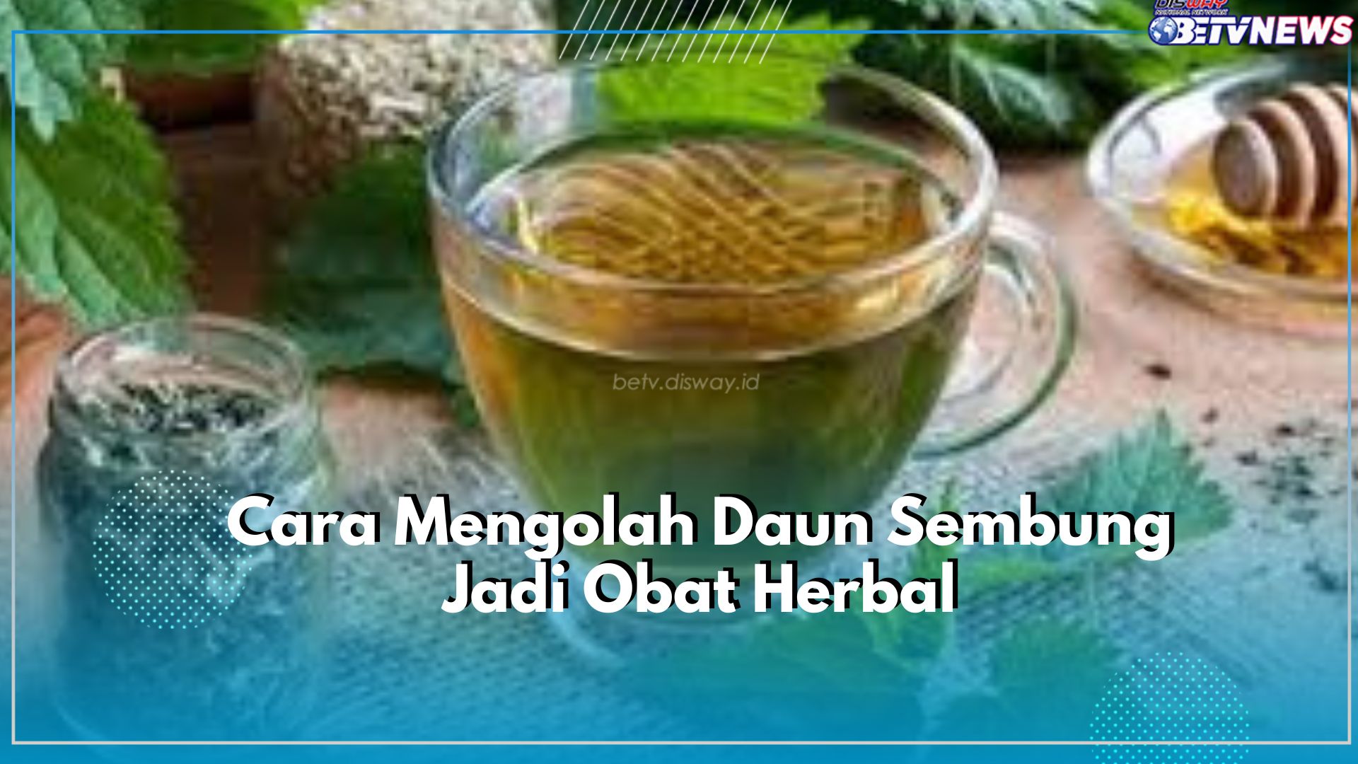 Berikut Ada 7 Cara Praktis untuk Mengolah Daun Sembung Jadi Obat Herbal, Bisa Atasi Demam hingga Nyeri Haid