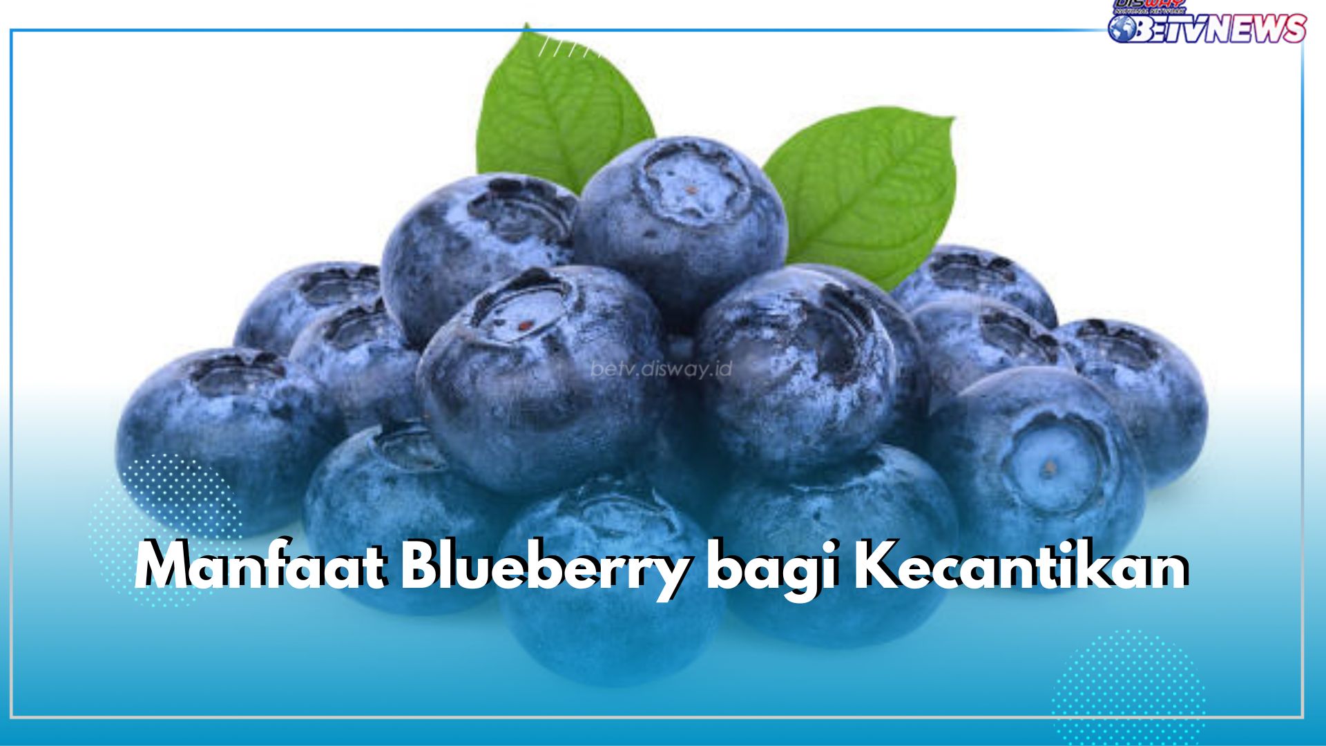 Mau Tampil Awet Muda Terus Menerus? Yuk Konsumsi Buah Blueberry, Ini 7 Manfaatnya bagi Kecantikan