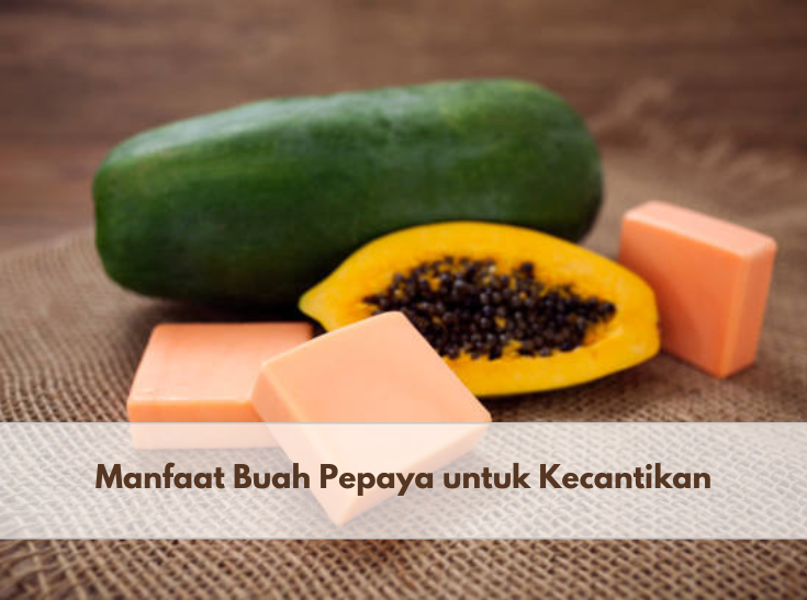 6 Manfaat Buah Pepaya untuk Kecantikan Ini Jadi Alasan Banyak Produk Perawatan Menggunakan Bahan Ini, Apa Saja