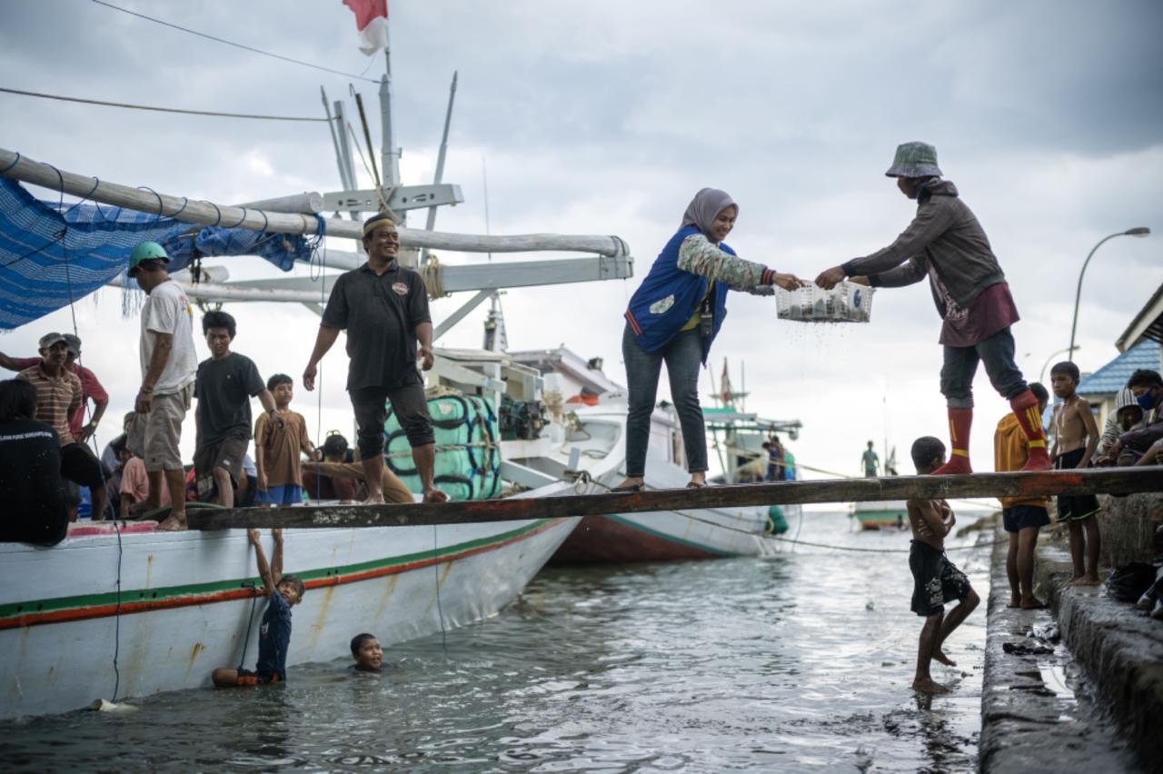 Konsisten Terapkan Prinsip ESG untuk Bisnis Berkelanjutan, BRI Raih 2 Penghargaan Internasional dari The Asset