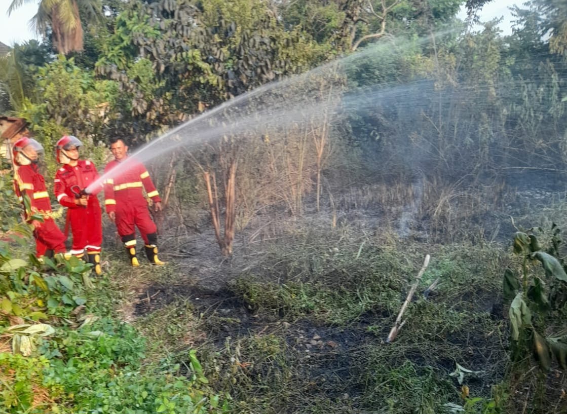 Kasus Kebakaran Lahan di Kota Bengkulu Menurun Periode Januari-Juli 2024