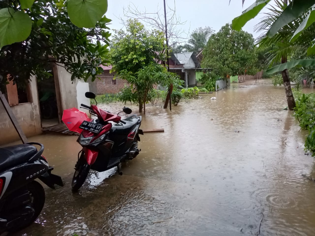 Hujan Deras dan Pasang Laut Sebabkan Banjir di Kota Bengkulu, 65 Jiwa Terpaksa Mengungsi