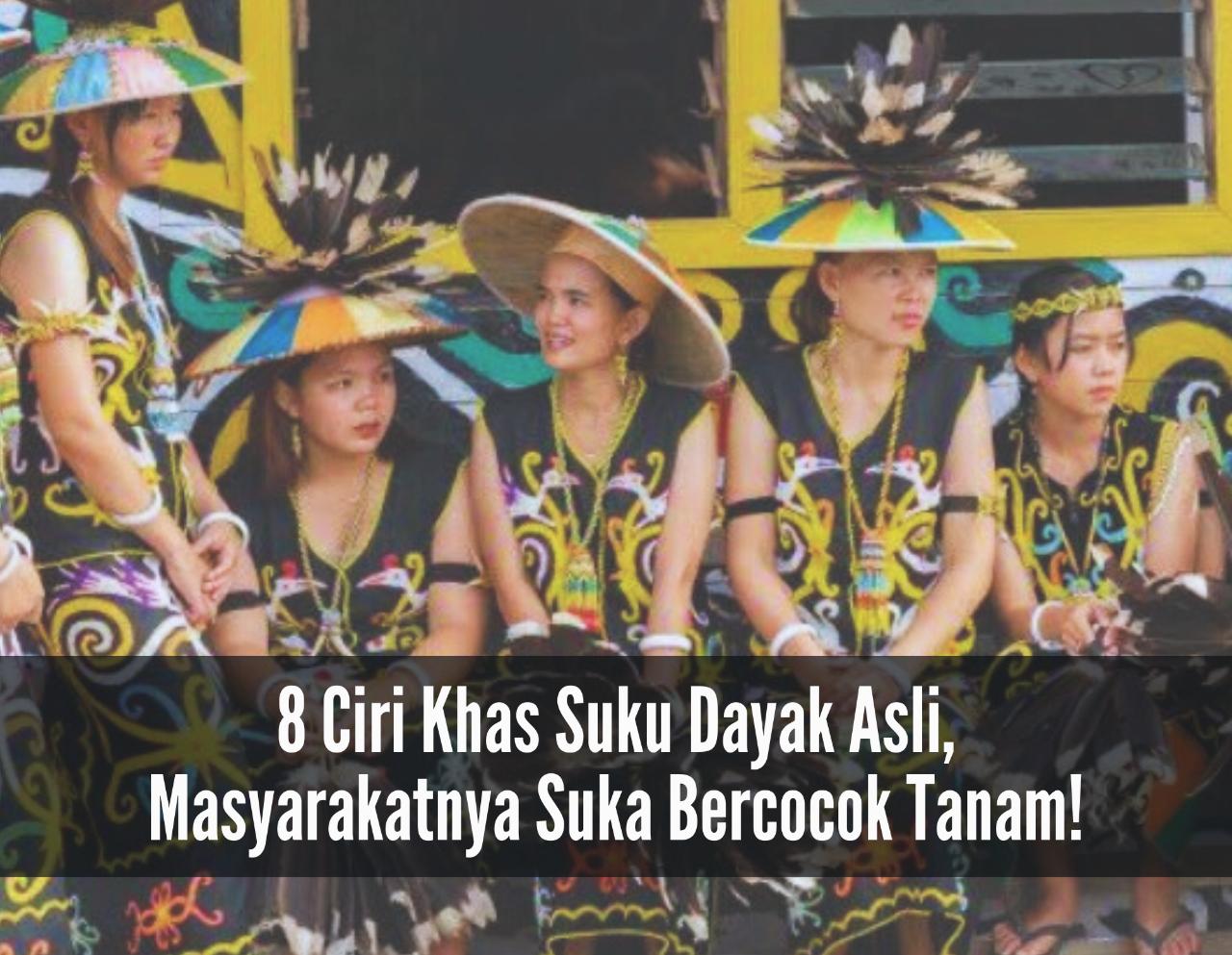 8 Ciri Khas Suku Dayak Asli, Masyarakatnya Suka Bercocok Tanam