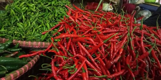 Harga Cabai Merah Keriting di Seluma Naik Lagi, Tembus Rp 70.000 per Kg