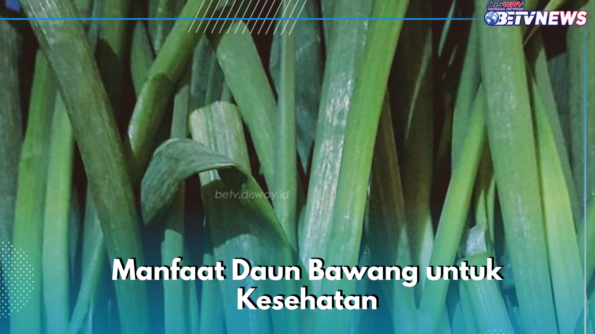 Mata Semakin Sehat, Cukup Konsumsi Daun Bawang Secara Rutin, Cek Manfaat Lainnya