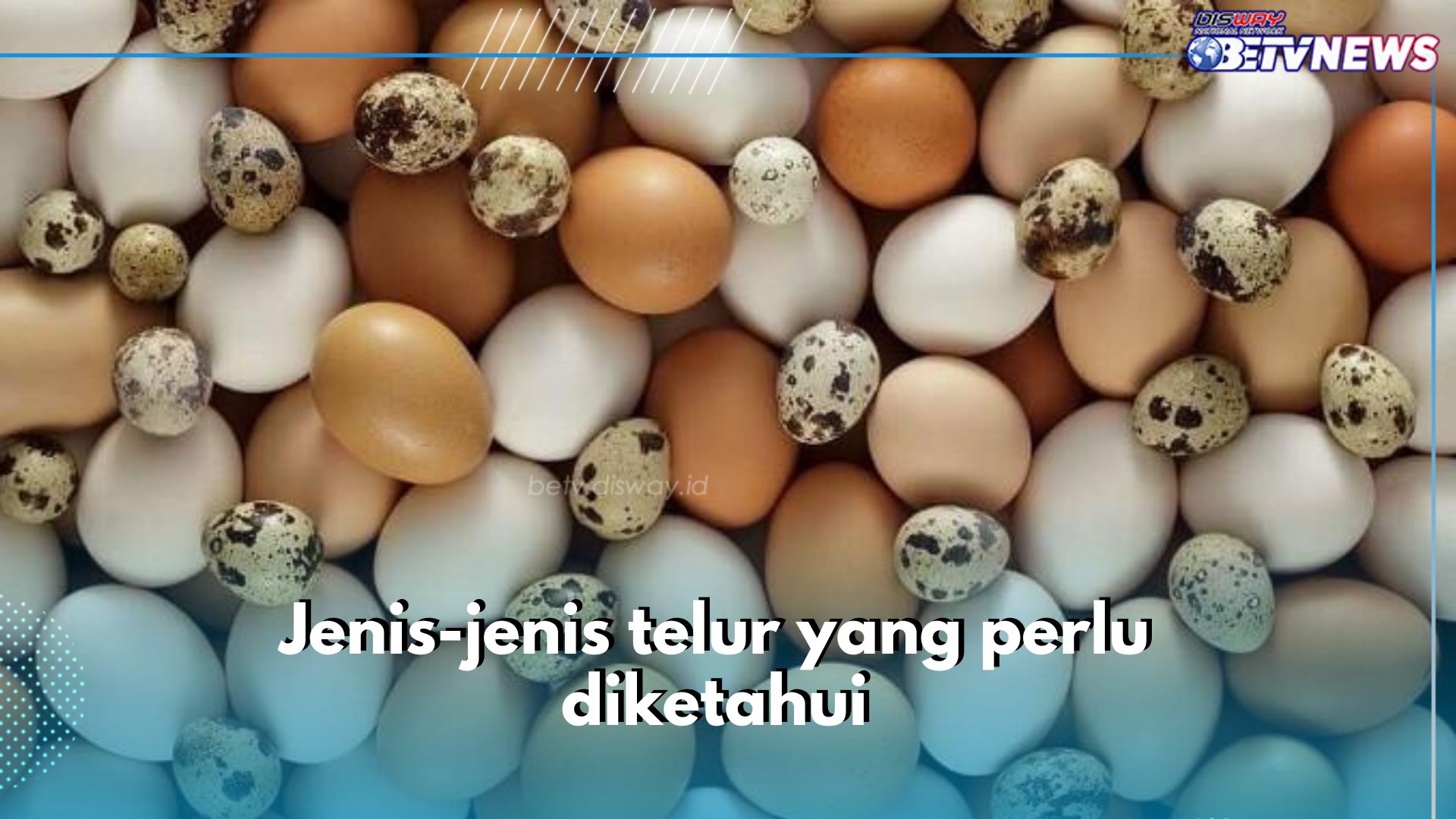 Ini 7 Jenis Telur yang Perlu Diketahui, Ada Telur Ayam hingga Kaviar, Cek Ciri-cirinya di Sini