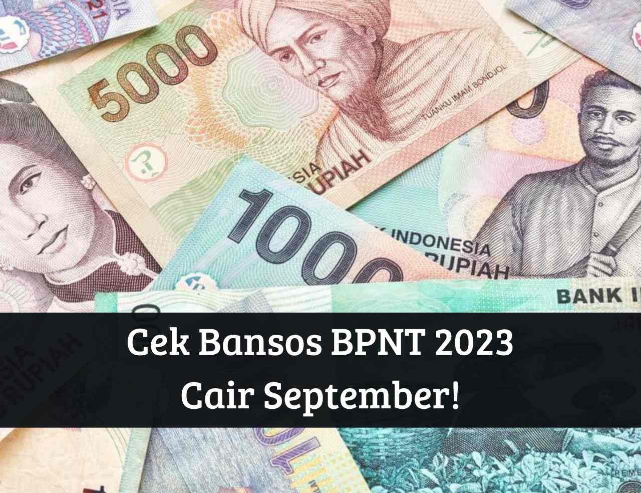 Bansos BPNT 2023 Cair September, Dapat Bantuan Rp400.000, Cek Penerima Langsung Auto Terima Cuan