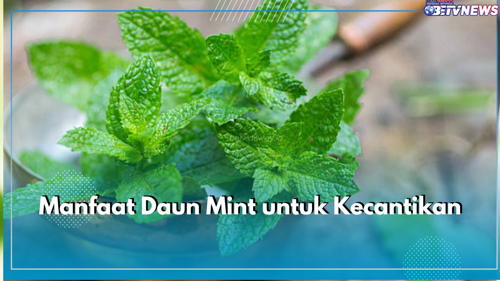 Baik untuk Kulit hingga Rambut, Ini 5 Manfaat Daun Mint untuk Kecantikan yang Perlu Kamu Ketahui