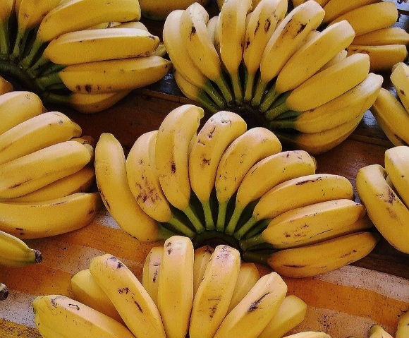Menu Sehari-hari, Ini Makanan yang Baik untuk Lambung, Kamu Bisa Coba