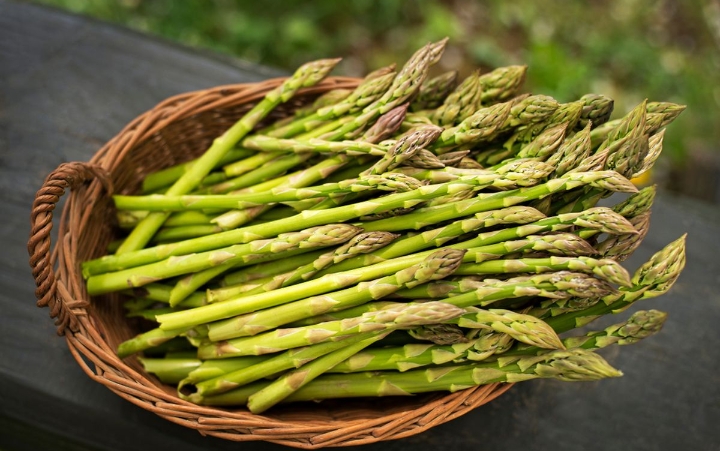 Ini 7 Efek Samping Konsumsi Asparagus Secara Berlebihan, Salah Satunya Bikin Alergi 