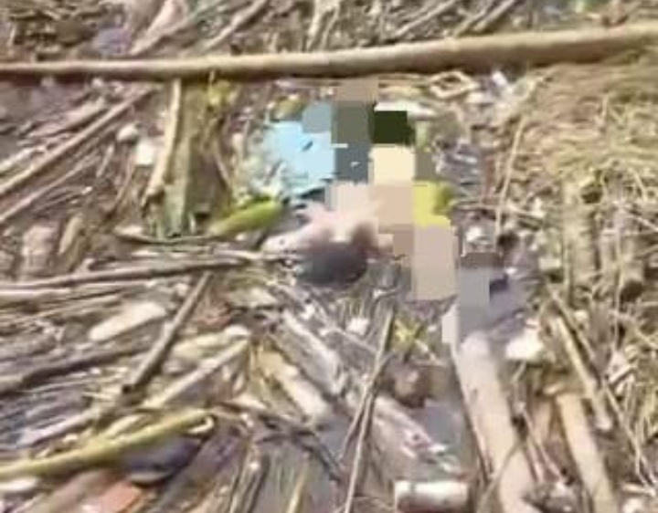 Warga Tebat Karai Geger, Mayat Wanita Tanpa Busana Ditemukan Mengambang di Sungai