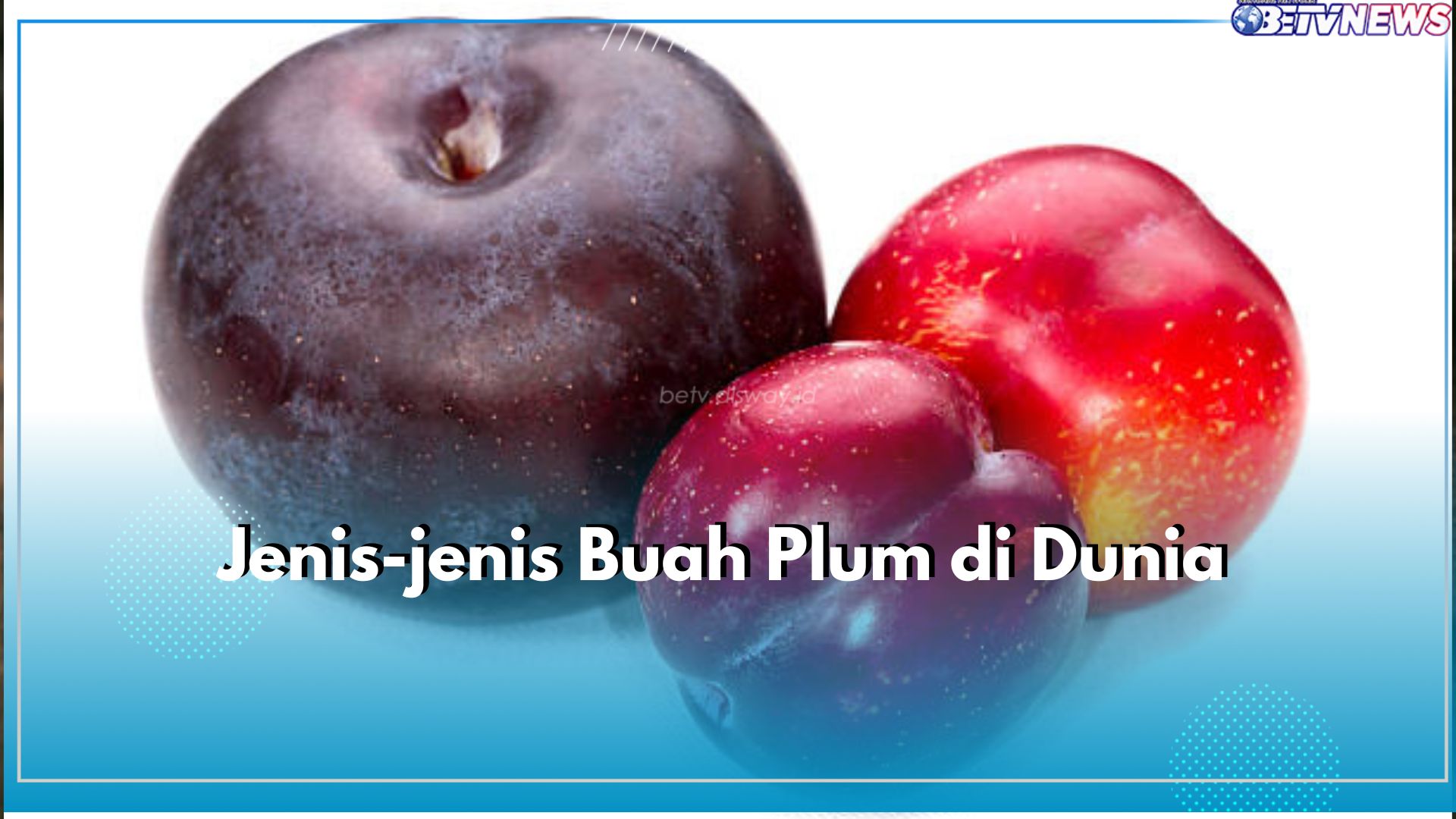 6 Jenis Buah Plum dan Karakteristiknya, Ada Japanese Plum hingga Mirabelle, Suka yang Mana?