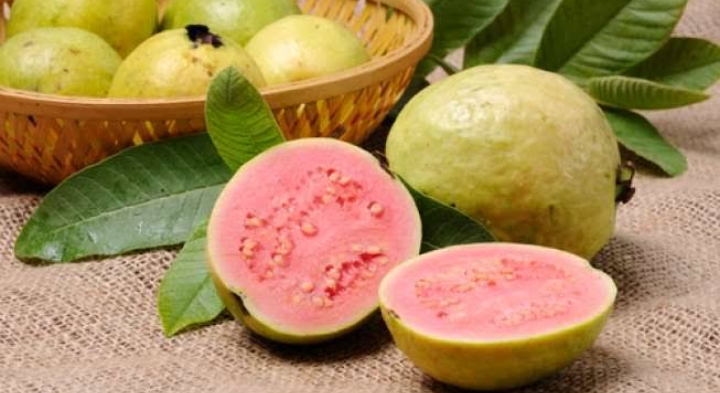 Jambu Biji hingga Mangga Kaya Akan Kandungan Vitamin C, Cek Daftar Lengkapnya Disini!