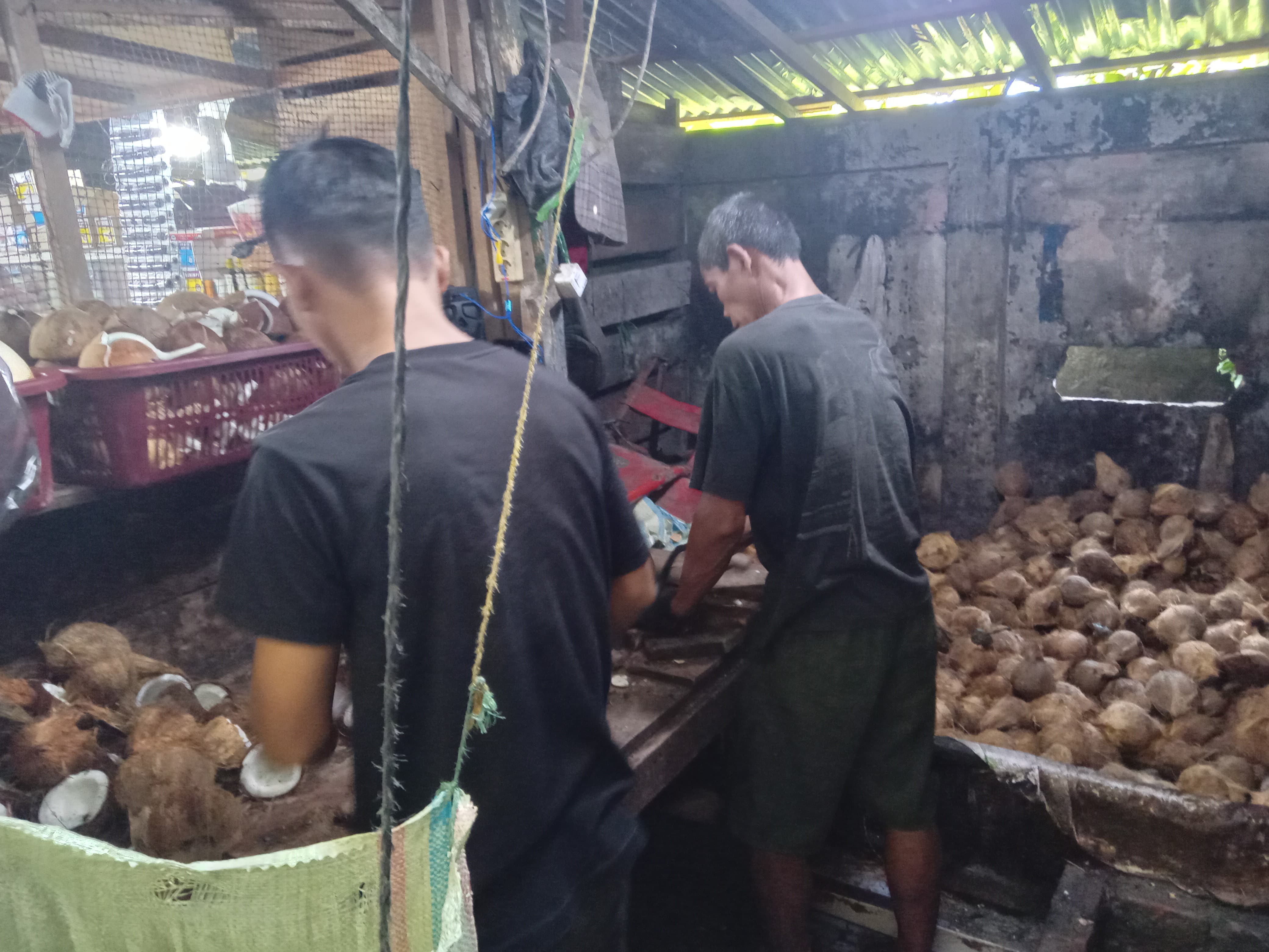 Harga Kelapa Parut di Pasar Minggu Bengkulu Naik Tajam