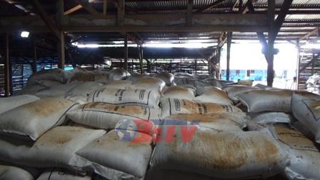 500 Ton Garam Asal Surabaya Masuk Bengkulu