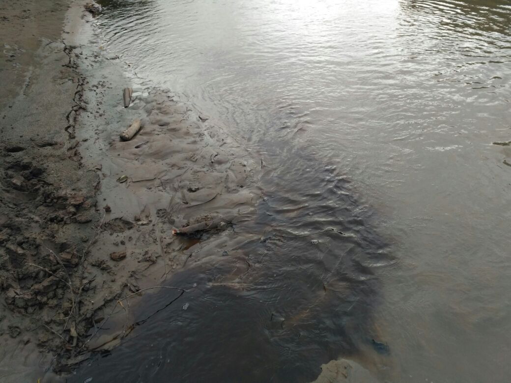Keruh dan Bau, Sungai Bengkulu Diduga Tercemar