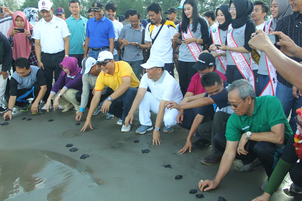 Unib Lepas 500 Ekor Tukik ke Laut Bengkulu