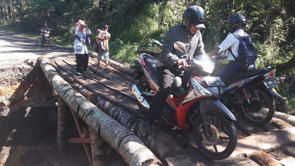 Terbuat dari Batang Kelapa, Jembatan Penghubung  Desa Lubuk Sini-Penum Memprihatinkan