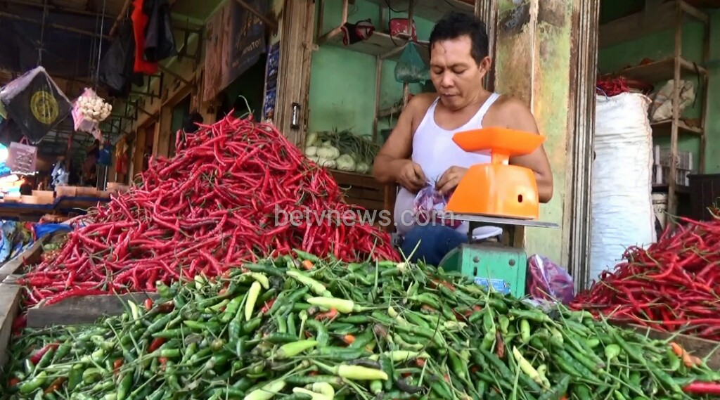 Kian ‘Pedas’, Harga Cabai Rawit Tembus Rp. 50 Ribu Perkilo