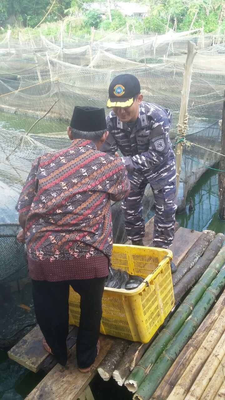 Lanal Bengkulu Gelar Panen Raya Ikan Lele