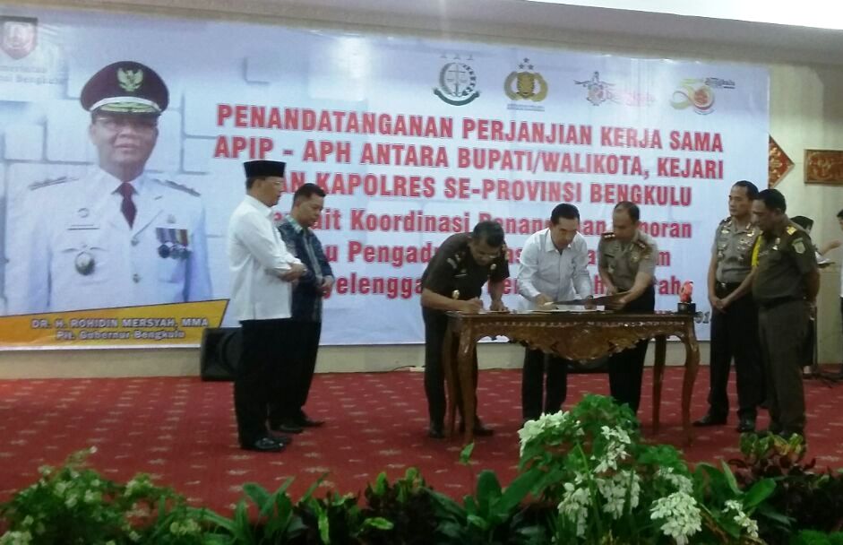 Sinergitas APIP-APH Kunci Penanganan Tindak Pidana Korupsi