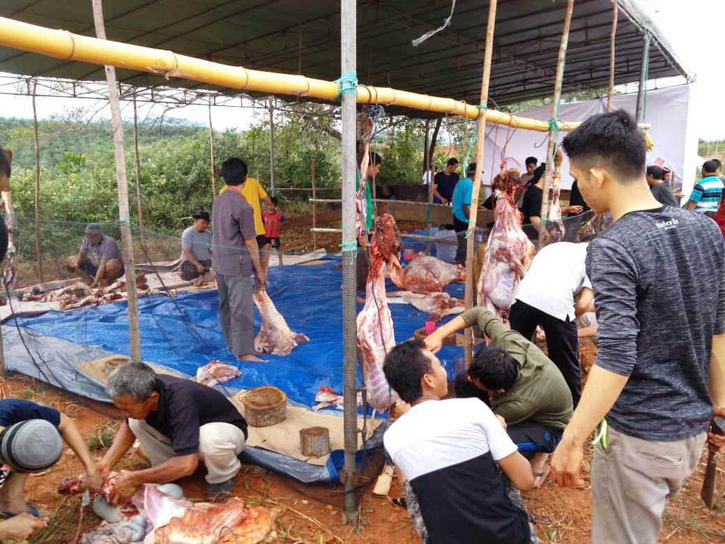 Rayakan Idul Adha, Masjid Abu Bakar Ash Shiddiq Sembelih 13 Hewan Kurban