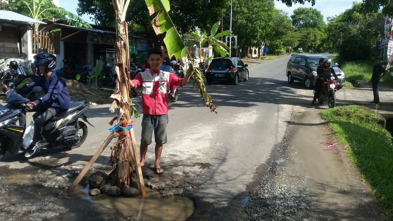 Geram Jalan Rusak, Warga Tanam Pohon Pisang Di Tengah Jalan