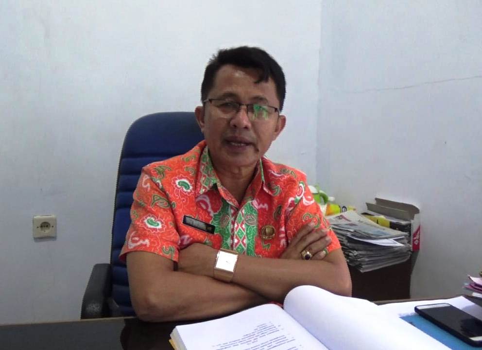 Kuota CPNS Kota, Tenaga Pendidik Didominasi Guru SD