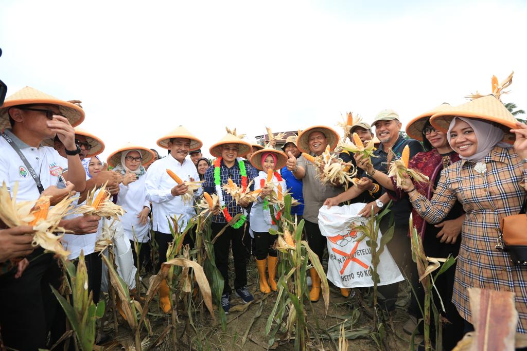 Kemendes PDTT Dukung Bengkulu Selatan Kembangkan Prukades Jagung