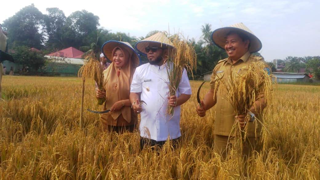 Tingkatkan Produksi Tani, Pemkot Serahkan Alsintan ke Poktan