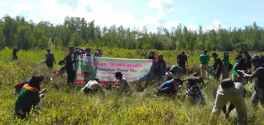 Peduli Lingkungan, Astra Motor Bengkulu Tanam Pohon Mangrove