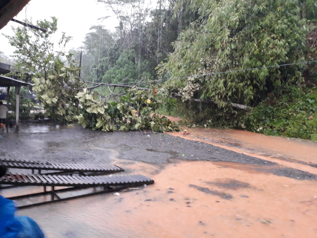 Longsor, Tanah Timbun Jalan Lintas Bengkulu-Kepahiang