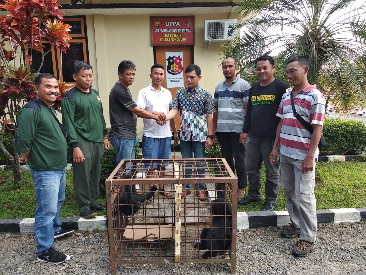 Polres Mukomuko Amankan 2 Ekor Siamang Milik Warga