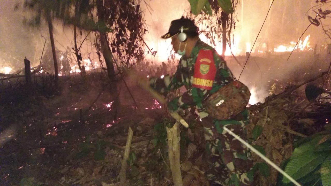 Kebakaran Habiskan 5 Hektar Lahan di Pulau Enggano