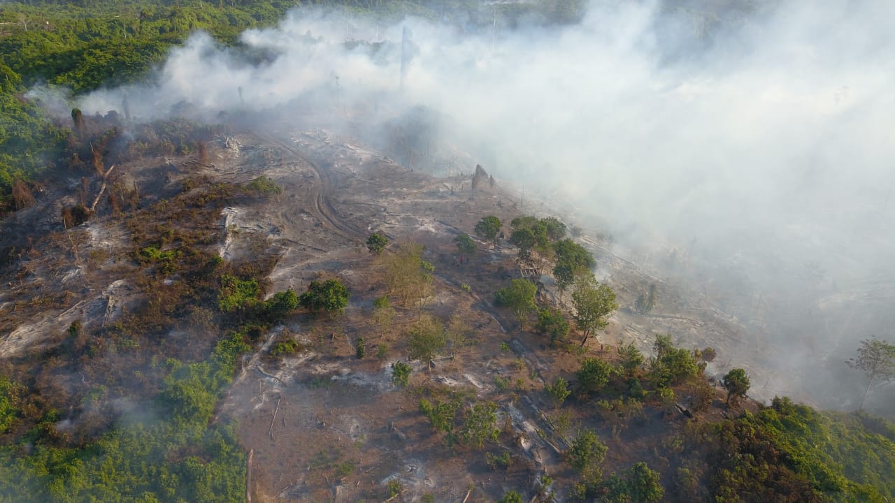 Kebakaran Lahan di Enggano, Meluas Hingga 50 Hektar