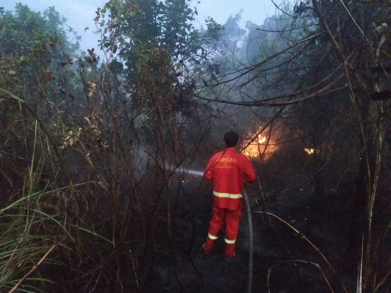 Lahan Kosong di Sumur Dewa Terbakar